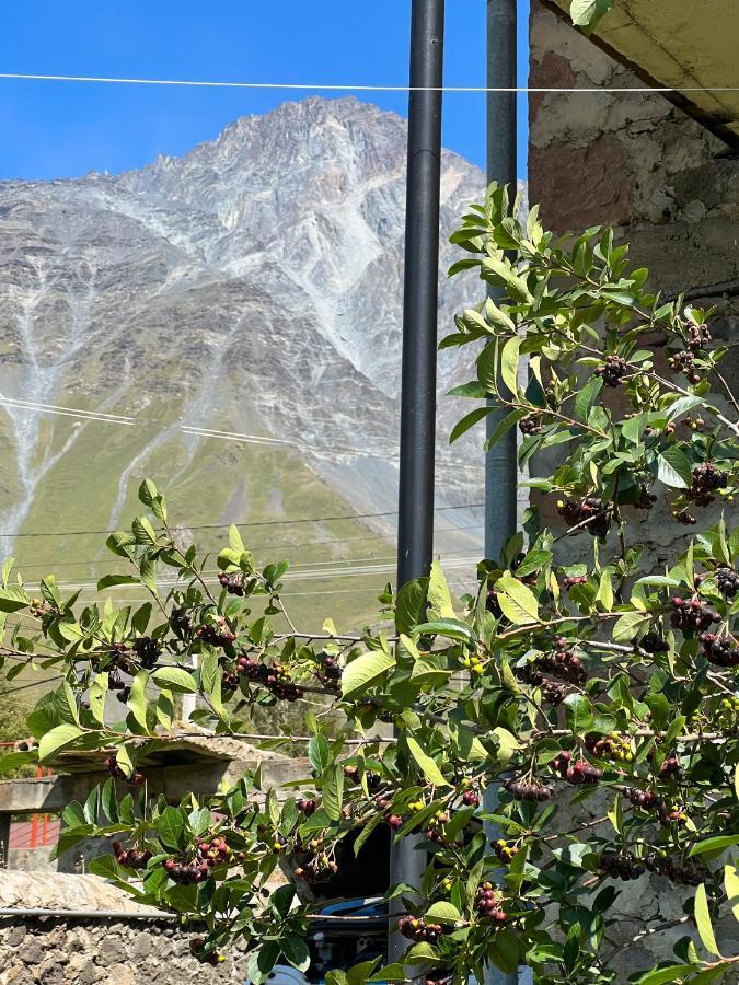 Ia'S Guest House Kazbegi Exterior foto